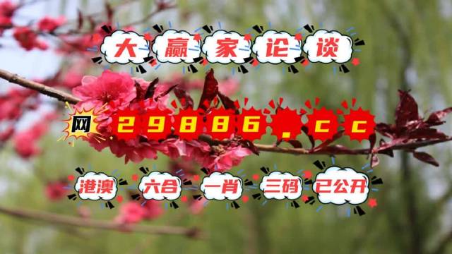澳门最准一肖一码一码孑,逻辑策略解答解析解释_方案型52.028