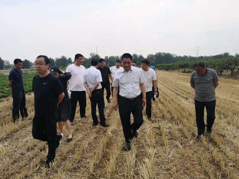 卧龙镇未来繁荣蓝图，最新发展规划揭秘