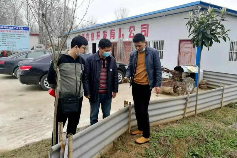 河南最新一清行动，重塑乡村风貌，助力地方发展推进