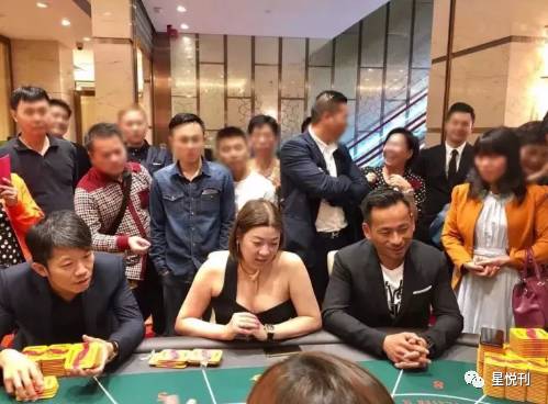 澳门最新赌博官网，探索与风险警示