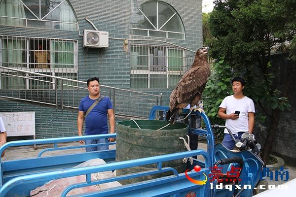 望谟县退役军人事务局人事任命更新，迈向新征程的坚定步伐