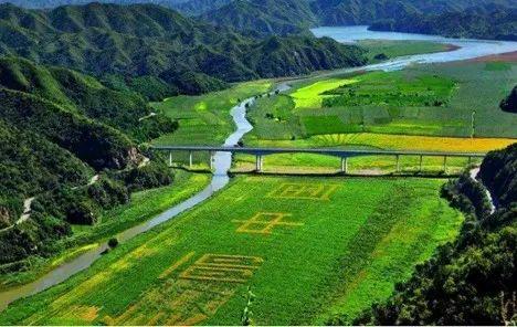 东文山乡最新项目，引领乡村发展的璀璨明珠之光
