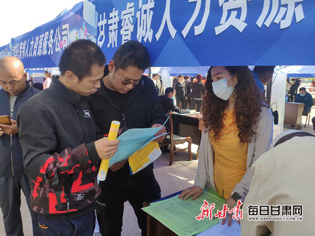 新华村委会最新招聘信息概览，岗位、要求及待遇全解析