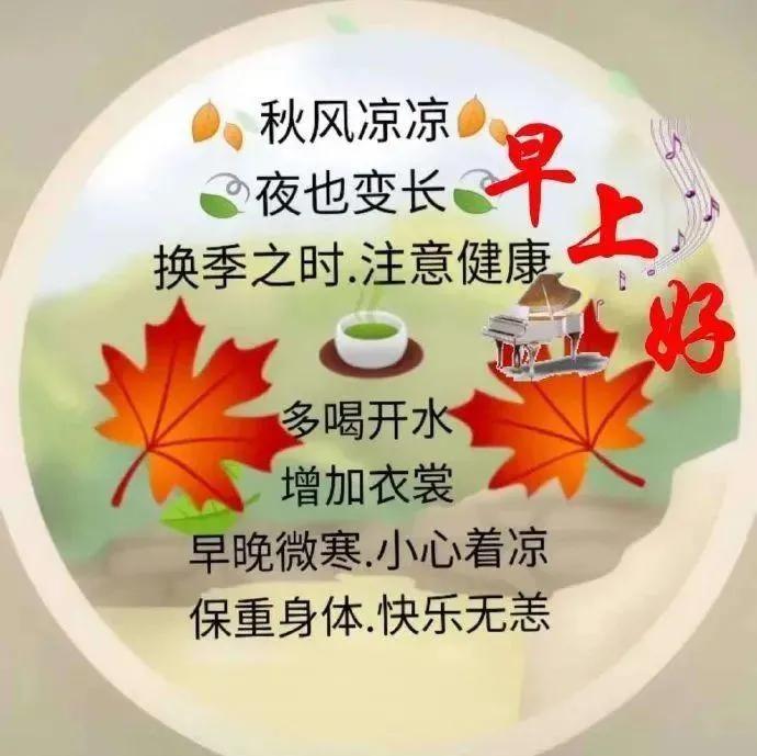南姗