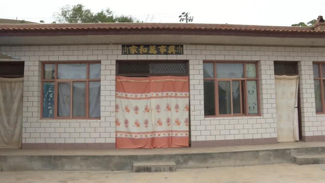窵岔村委会最新动态报道